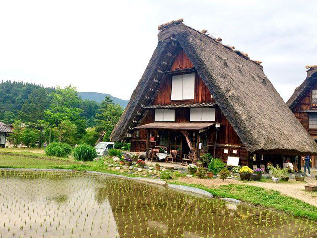 名古屋から、世界遺産「白川郷」に行ってみた~高速バス乗車体験記~